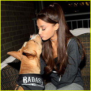 Ariana Grande Will Pay Adoption Fees for These Dogs!