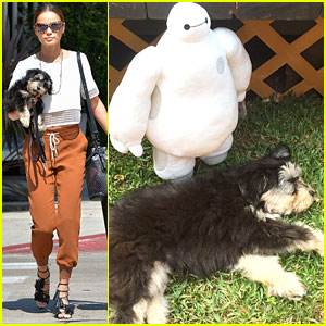 Jamie Chung's Pup Ewok Gets Medical Assistance From Baymax - See The Cute Pic!
