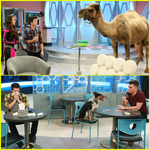 Get An Exclusive Look At This Week's 'Lab Rats: Bionic Island' & 'Mighty Med'!