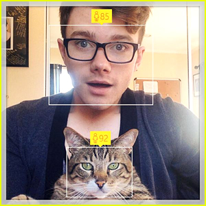 Chris Colfer Posts Hilarious Pic With His Cat On 25th Birthday