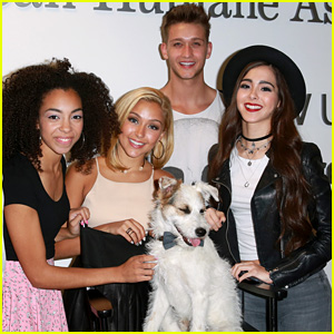 Sweet Suspense Hang Out With Hallmark Channel’s Happy the Dog for a Good Cause!