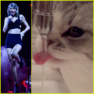 Taylor Swift Performs in Europe While Calvin Harris Watches Her Cats (Video)