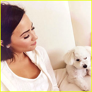Demi Lovato's Dog Buddy Has Died