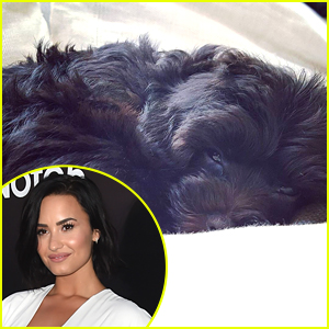 Demi Lovato Gets New Adorable Puppy Batman - See The Pics!