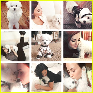 Demi Lovato Sends Love & Thanks To Fans After Pup Buddy's Passing
