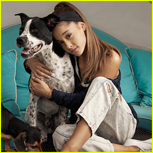 Ariana Grande Wants To Rescue All The Homeless Dogs Everywhere