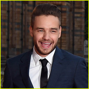 Liam Payne Bought One of the Flying Cars From 'Harry Potter'!