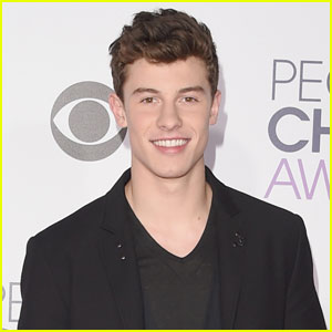 Shawn Mendes Teases Second Album!