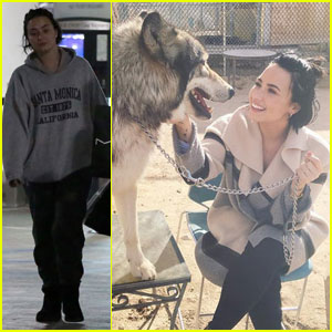 Demi Lovato Celebrates Wilmer Valderrama's Birthday at a Wolf Sanctuary!