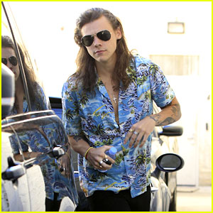 Harry Styles Enjoys Some Shopping Alone in Beverly Hills