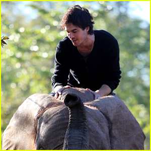 Ian Somerhalder Joins WildAid's 'Year of the Elephant' Campaign