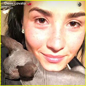 Demi Lovato Is Allergic to Her New Hairless Cat!