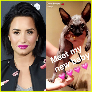 Demi Lovato Gave Back Her Cat Because of Her Allergies
