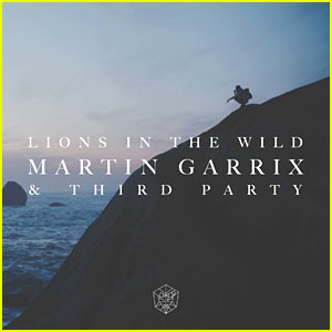 Martin Garrix Drops 'Lions In The Wild' Video with Third Party - Watch Now!