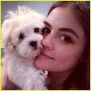 Lucy Hale Just Got an Adorable New Puppy!
