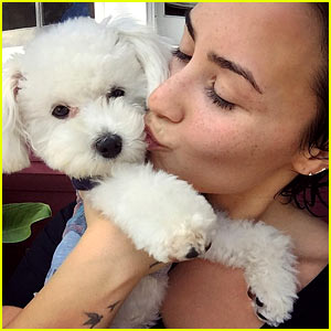 Demi Lovato Remembers Dog Buddy One Year After He Was Killed by Coyote