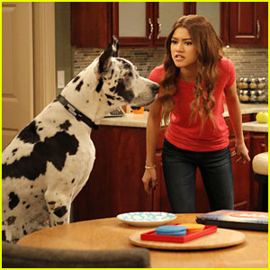 K.C. Does Not Get Along With Her Canine Partner in 'K.C. Undercover'