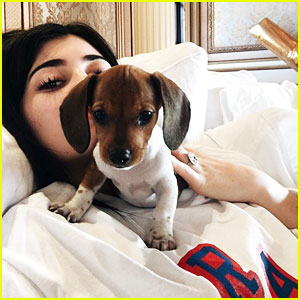Kylie Jenner Got a New Dog for 19th Birthday!