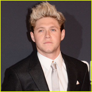 Niall Horan Calls Out Fan for Taking Photo While He Was Sleeping
