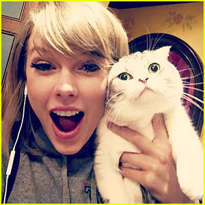 Meredith, aka Taylor Swift's Cat, Spotted Watching Fans from Window!