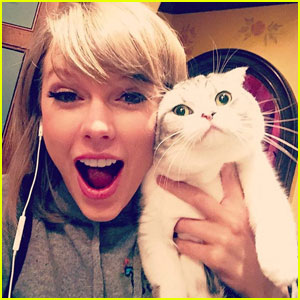 Taylor Swift Shares Funny Video of Her Cat Olivia on Instagram Stories