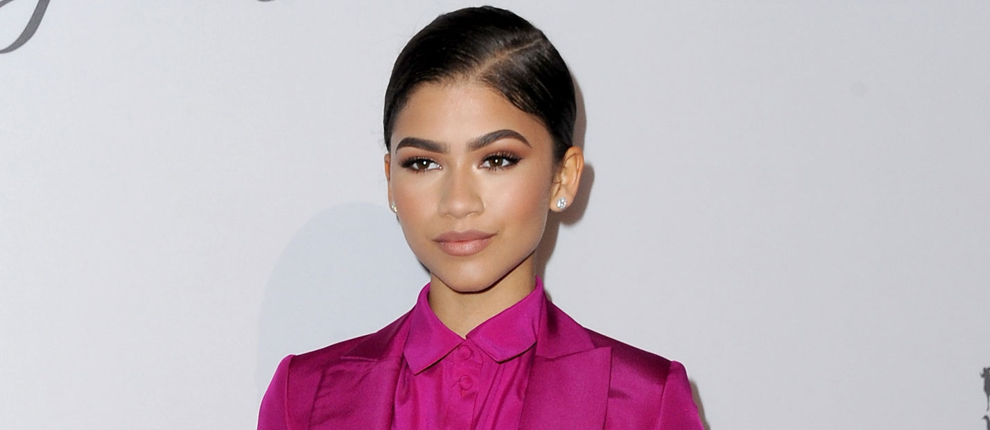 Zendaya’s Parents File for Divorce | Zendaya | Just Jared Jr.