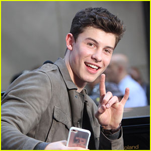 Shawn Mendes Scores Four MTV EMA Nominations - See Full List of Nominees!