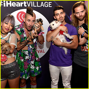 Joe Jonas & DNCE Pose With Puppies at iHeartRadio's Daytime Village in Las Vegas