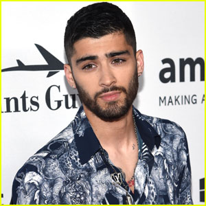 Zayn Malik Is Producing a New Show About a Boy Band!