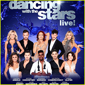 Which Pros Will Be On The 'Dancing With The Stars' Live Tour? Find Out Now!