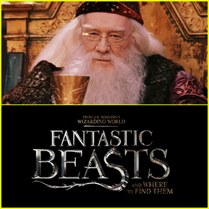 One of Your Favorite Wizards Is Headed to 'Fantastic Beasts'
