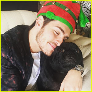Cuteness Overload: Celebrity Dogs & Cats of Instagam!