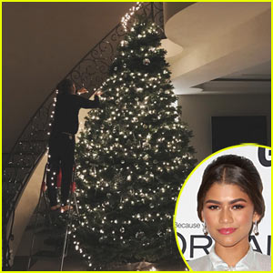 Zendaya Shows Off Her Epic Christmas Tree in Her New House!