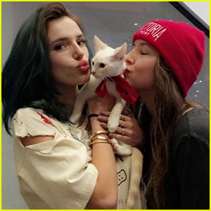 Bella Thorne's New Cat Sheds Everywhere!