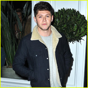 Niall Horan Shows Off His Darker Hairdo at Salon Launch Party