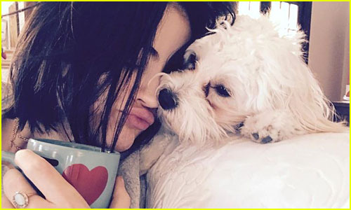 How Dove Cameron & Other Stars Spend Lazy Days Like These