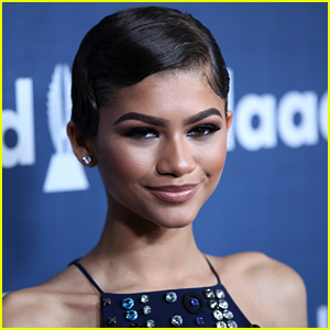 Why is Zendaya's Upcoming Album Taking So Long? She Dishes!