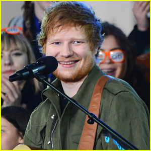 Ed Sheeran's Dream Life Sounds Very Domesticated