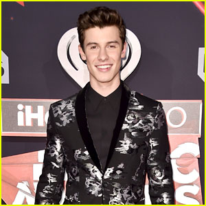 Shawn Mendes Illuminates the Carpet at iHeartRadio Music Awards 2017!
