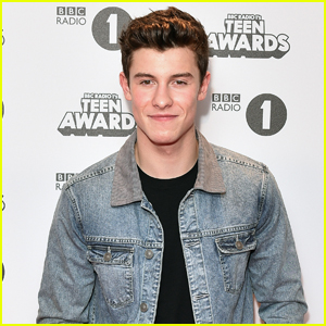 Shawn Mendes to Make Acting Debut in 'Summer of Love' Musical