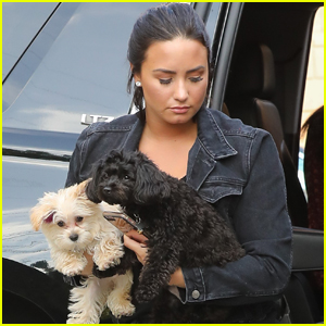 Demi Lovato Brings an Armful of Puppies to the Studio!