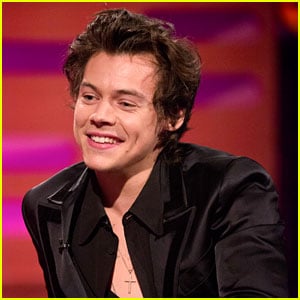 Harry Styles Slept in an Attic for Two Years During His One Direction Days