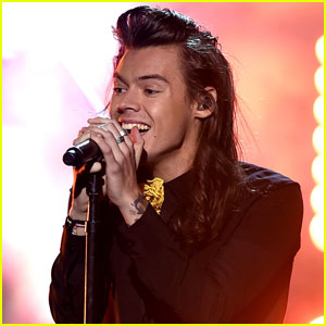 Harry Styles Says He 'Didn't Want to Hide' On His Debut Album