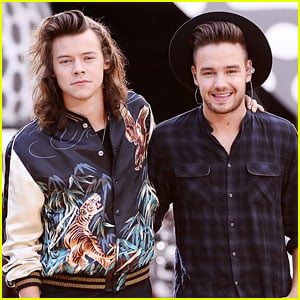 Liam Payne Tweets Harry Styles About 'Sign of the Times' & Directioners Are Shook
