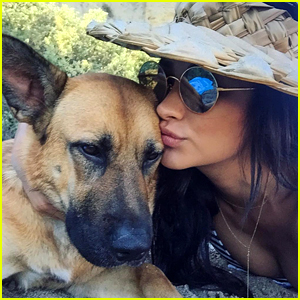 Shay Mitchell Just Knew Her Dog Angel Was The One For Her