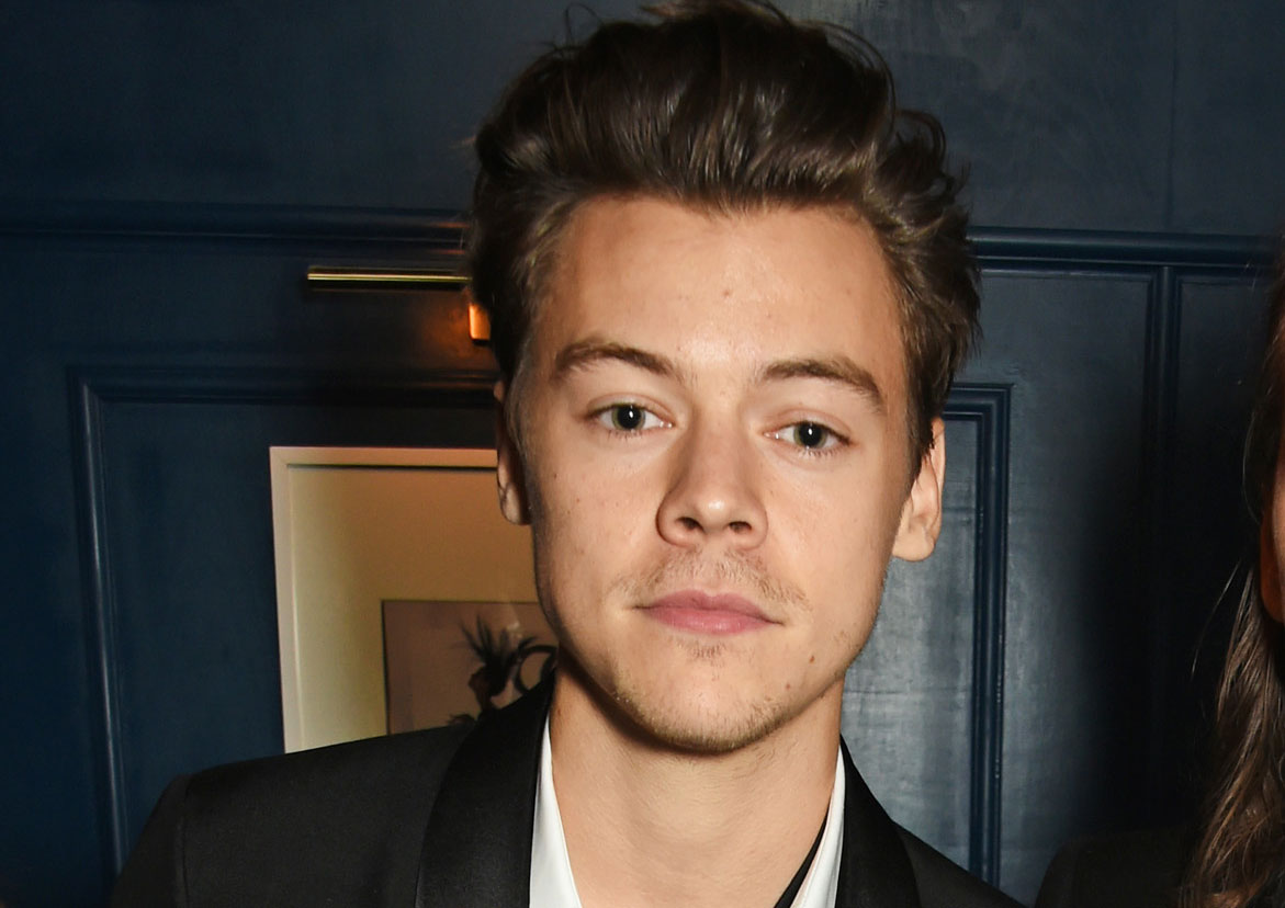 Harry Styles Makes Special Phone Call to Manchester Attack Survivor