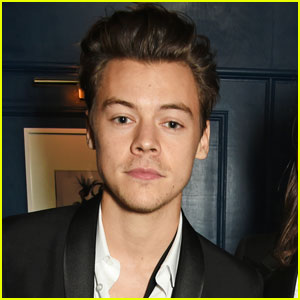Harry Styles Makes Special Phone Call to Manchester Attack Survivor