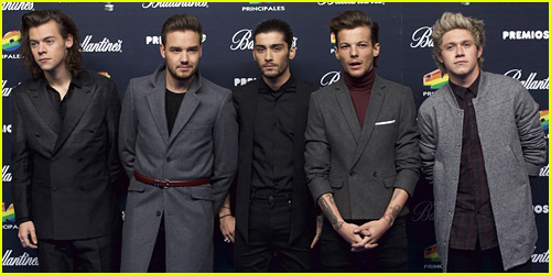 Liam Payne Doesn't Want You To Get Your Hopes Up About a One Direction Reunion With Zayn Malik
