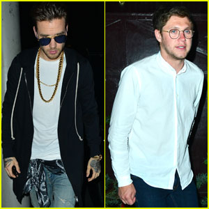 Liam Payne & Niall Horan Hold Mini One Direction Reunion!