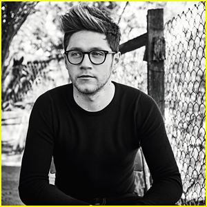 Niall Horan Had a Grand Adventure in Southeast Asia After One Direction's Hiatus Started